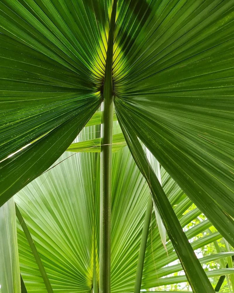 Photograph by Наталья Иванова