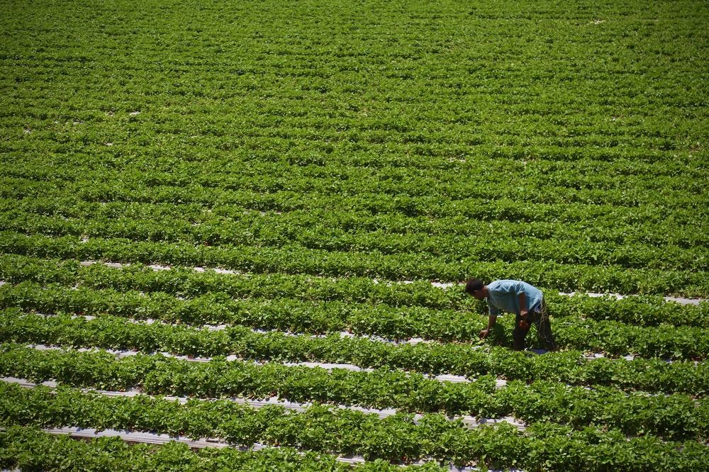 Photograph by Eslam Ahmed