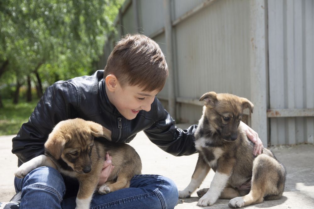 Photograph by Анастасия Трофимовская