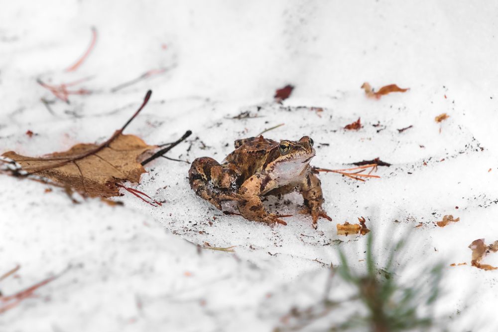Photograph by Елена Амозова