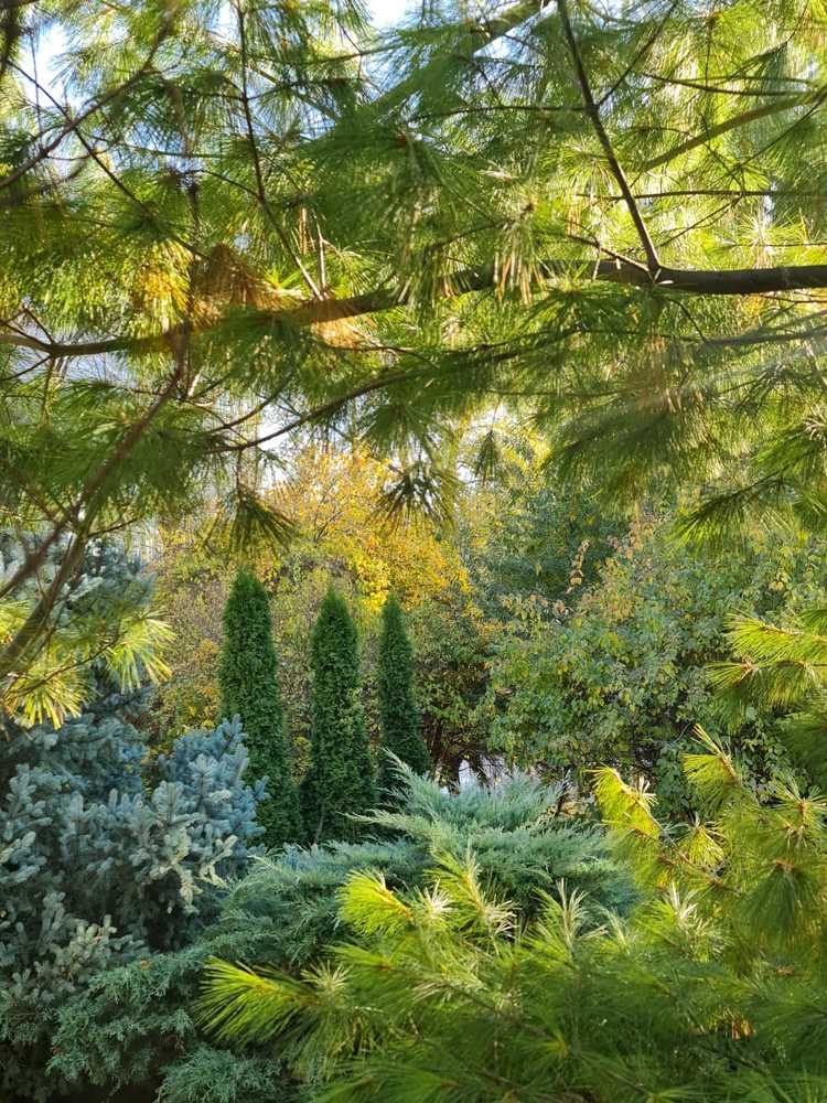 Photograph by Наталья Иванова