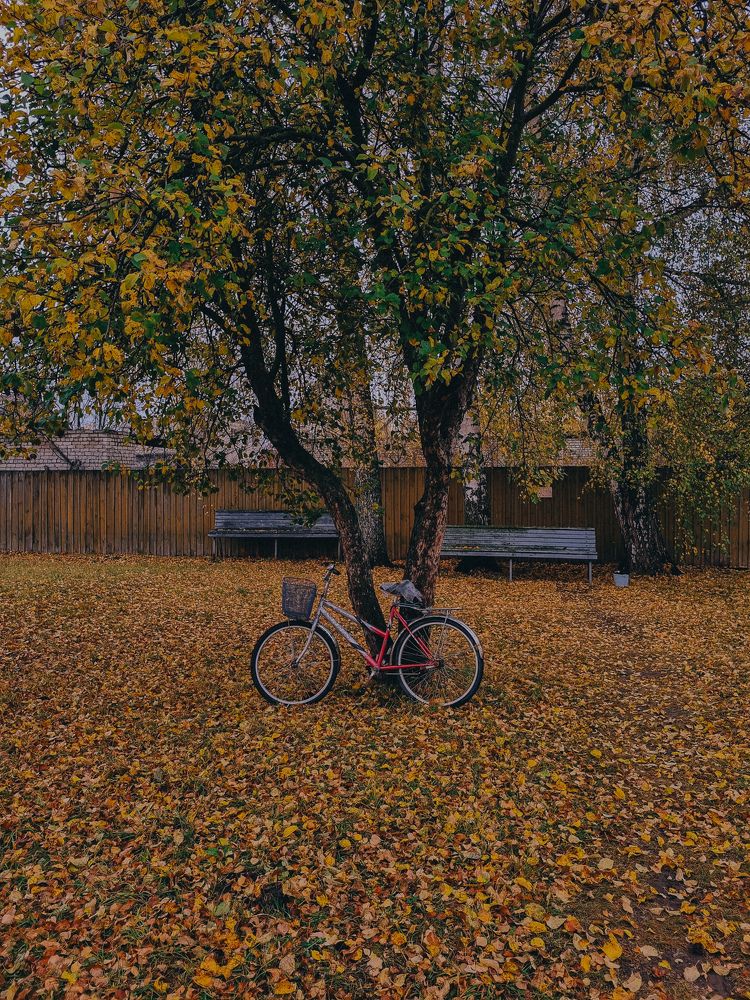Photograph by Марина Григорьева