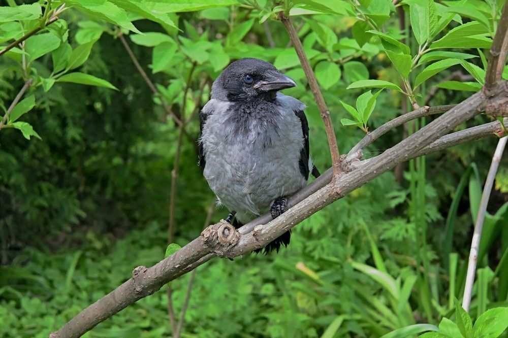 Photograph by Наталия Божьева