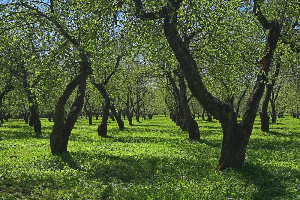 Photograph by Наталия Божьева