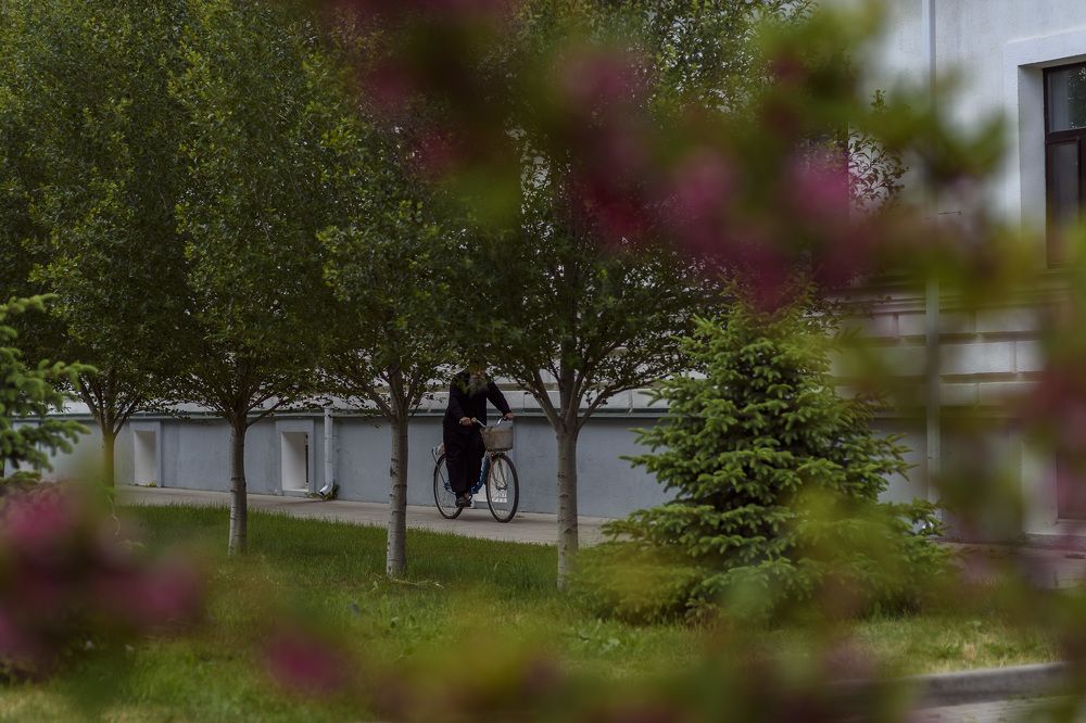 Фотография автора Наталья Почтенная