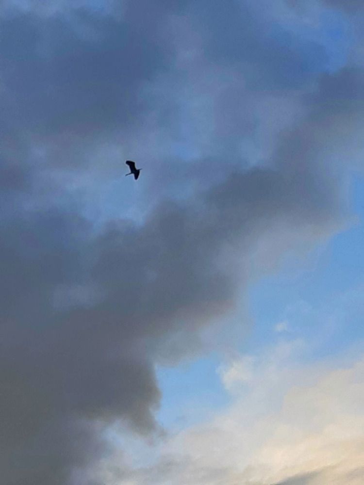 Photograph by Olga Александрова