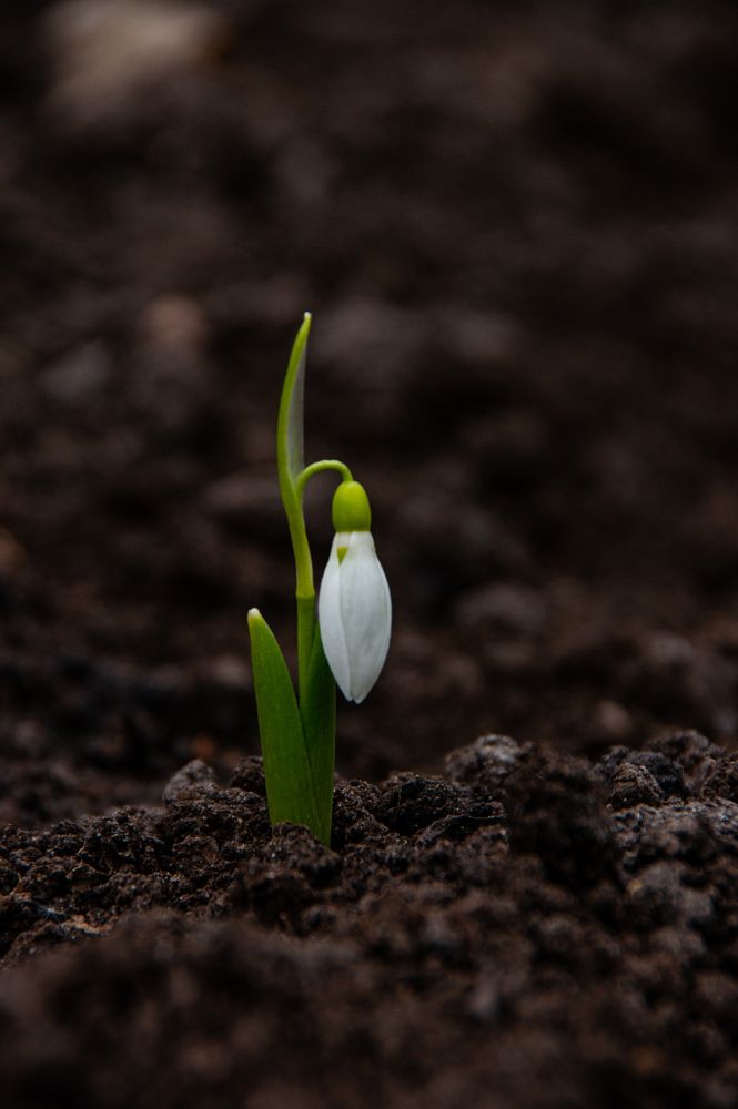 Photograph by Елизавета Корнилова