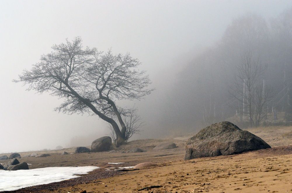 Photograph by Александр Вавулин