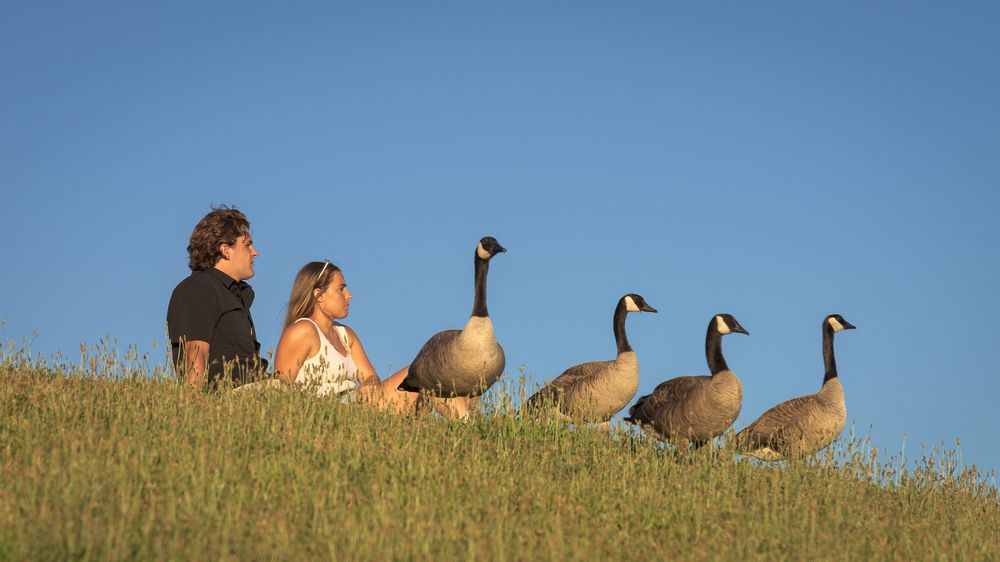 Photograph by Jiang Parker