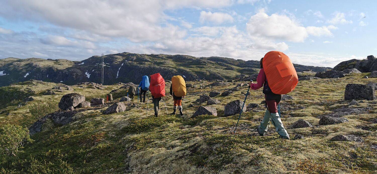Photo #11367988
