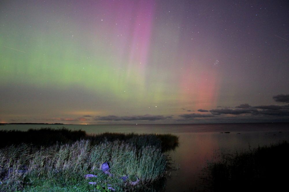 Фотография автора Jevgeni Filimonov