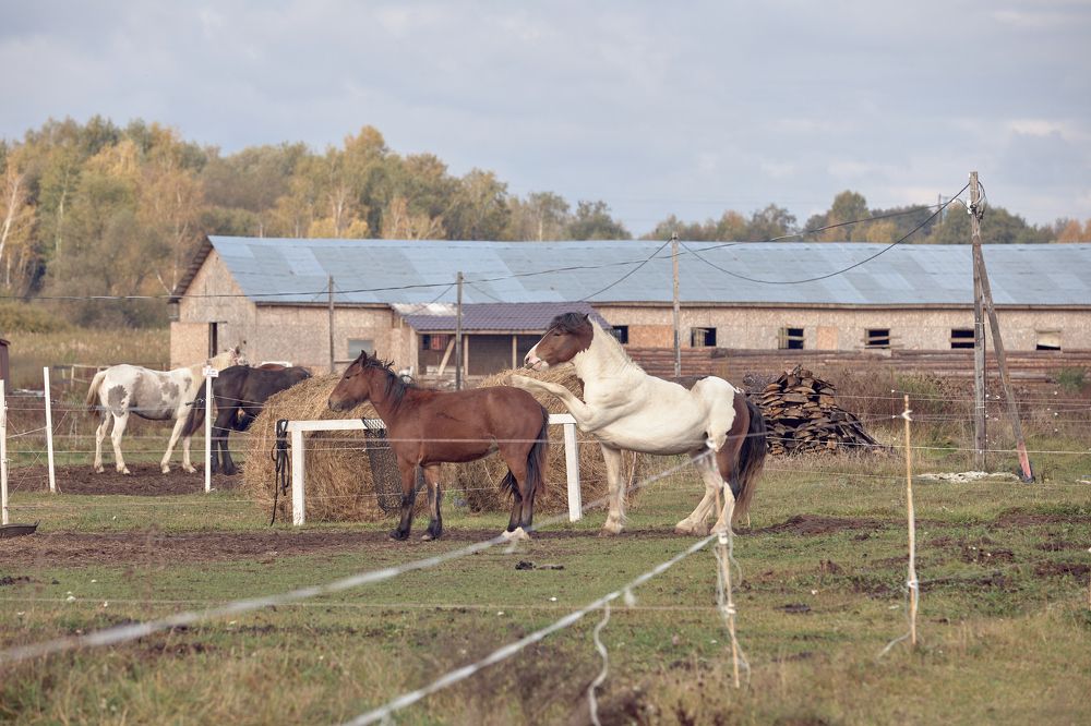 Photograph by Евгений Гущин