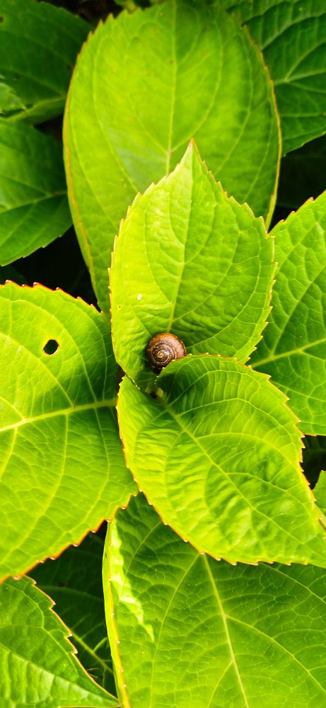 Фотография автора Джаф