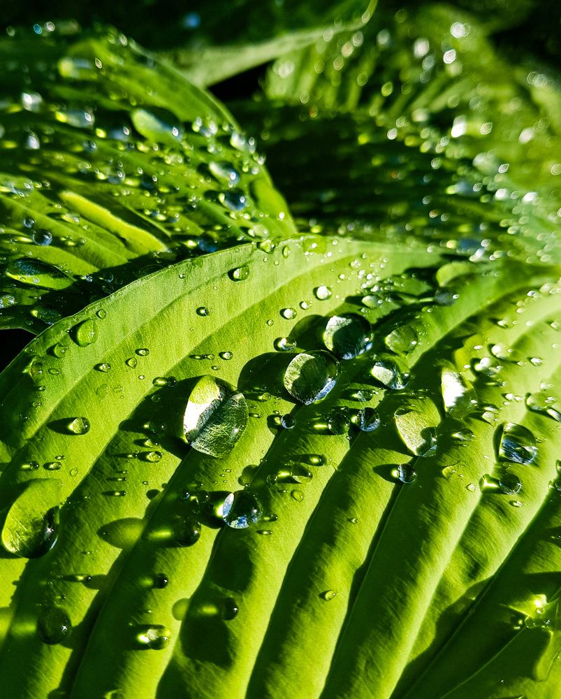 Фотография автора Джаф