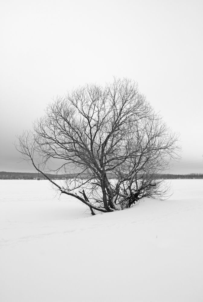 Делай что хочешь