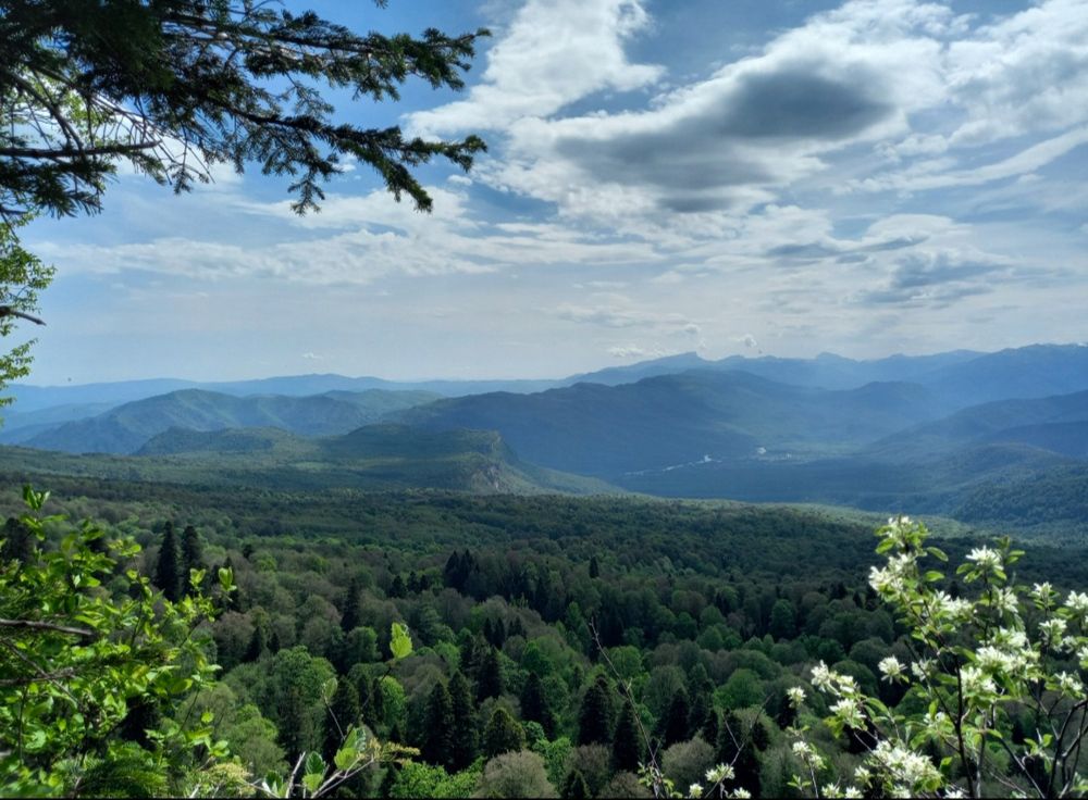 Photograph by Диана Савостина