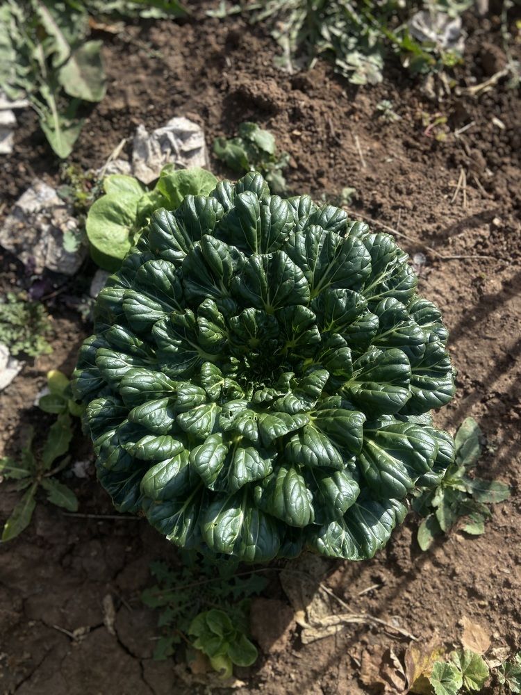 Photograph by Наталья Душакова