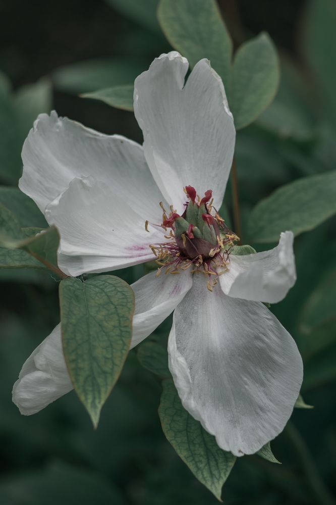 Photograph by Татьяна Байкова