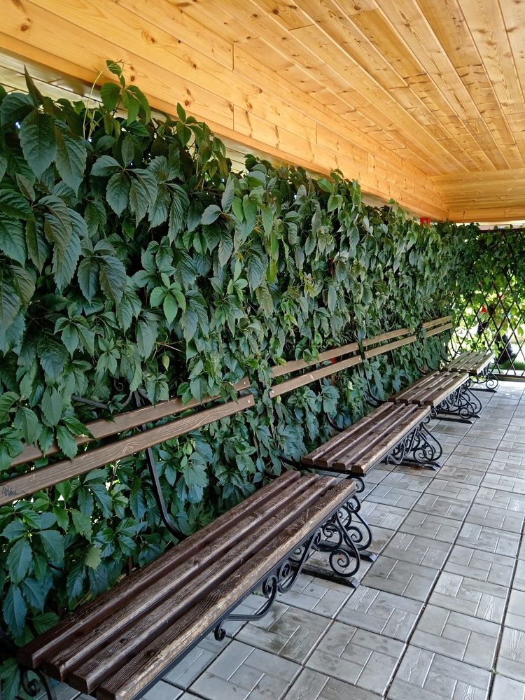 Photograph by Юлия Лихачева