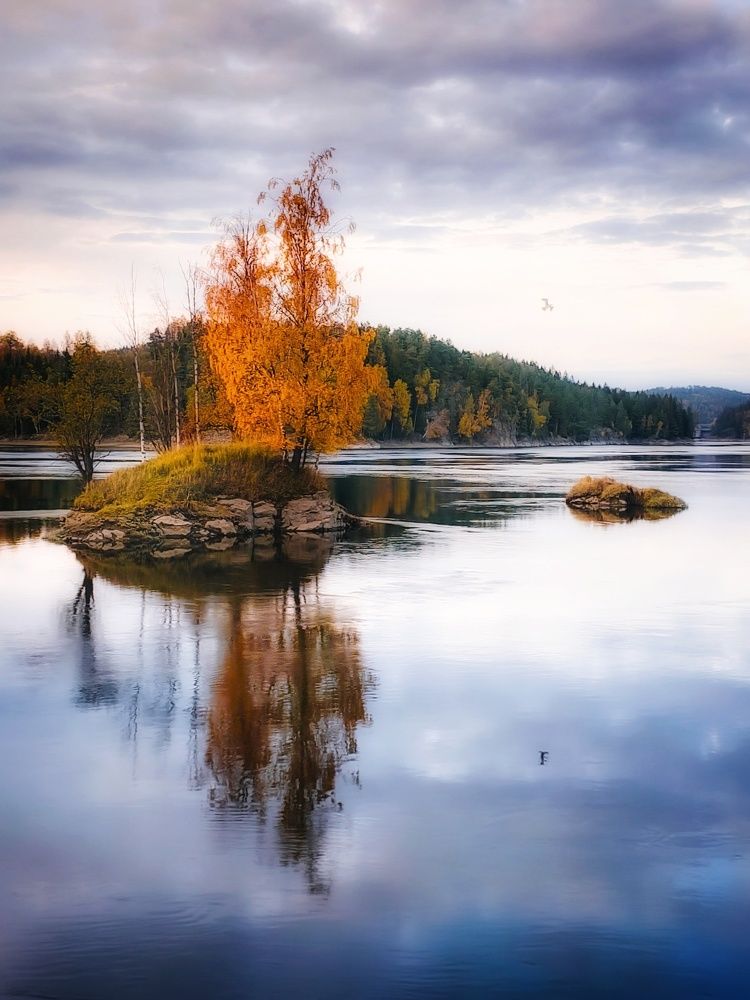 Фотография автора Alina Filimonova