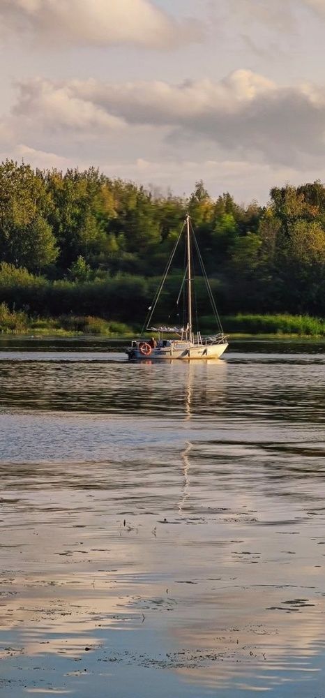 Photograph by Елена Бородулина