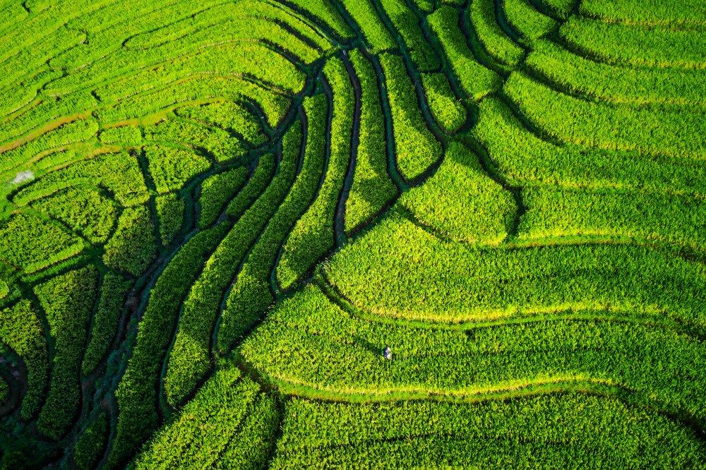 Photograph by  rahmad himawan