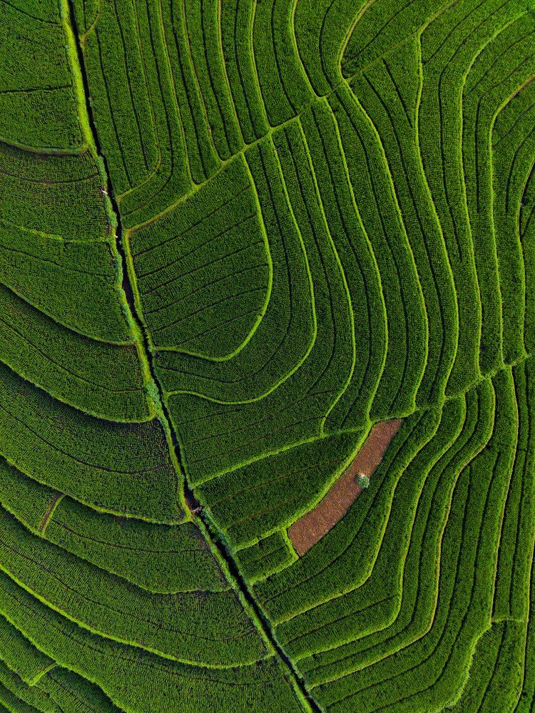 Photograph by  rahmad himawan