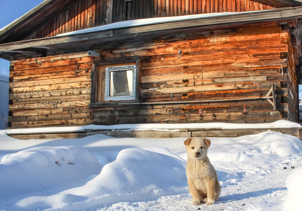 Photograph by Михаил Мархинин