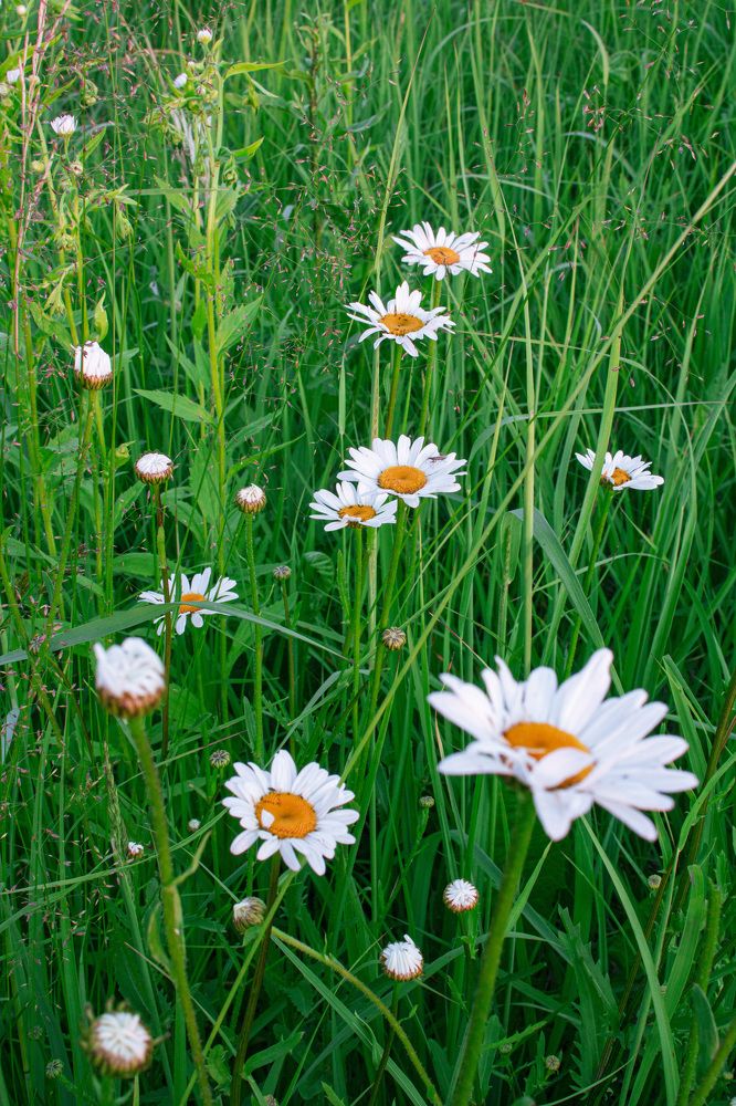 Photograph by Герман Корнеев