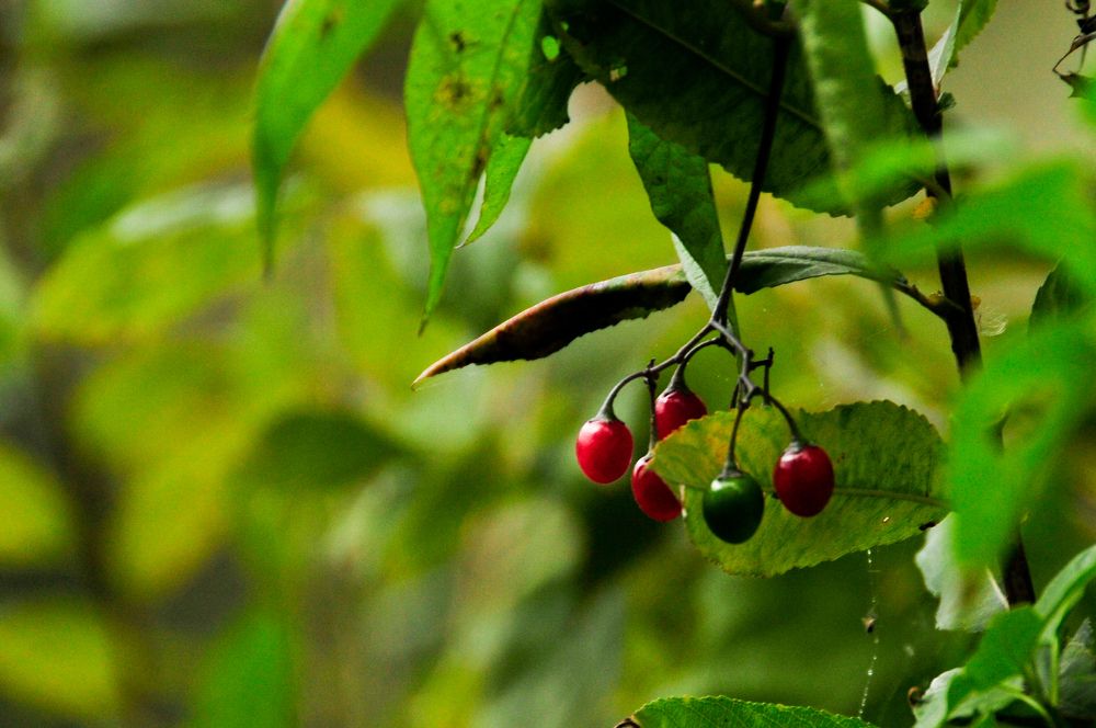 Photograph by Александр