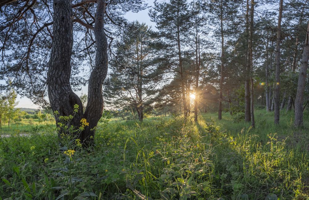 Photograph by Герман Корнеев