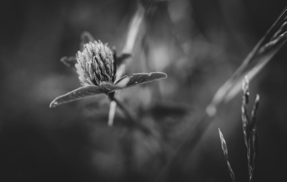 Фотография автора Войнов Дмитрий