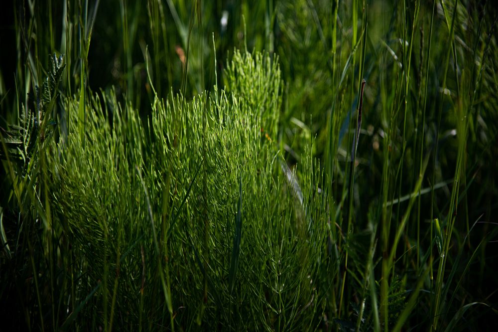 Фотография автора Войнов Дмитрий
