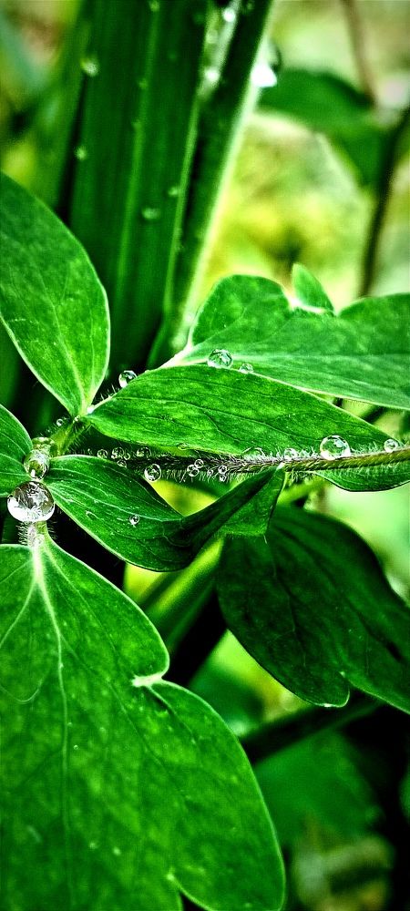 Photograph by Nаtaliia Zolotova