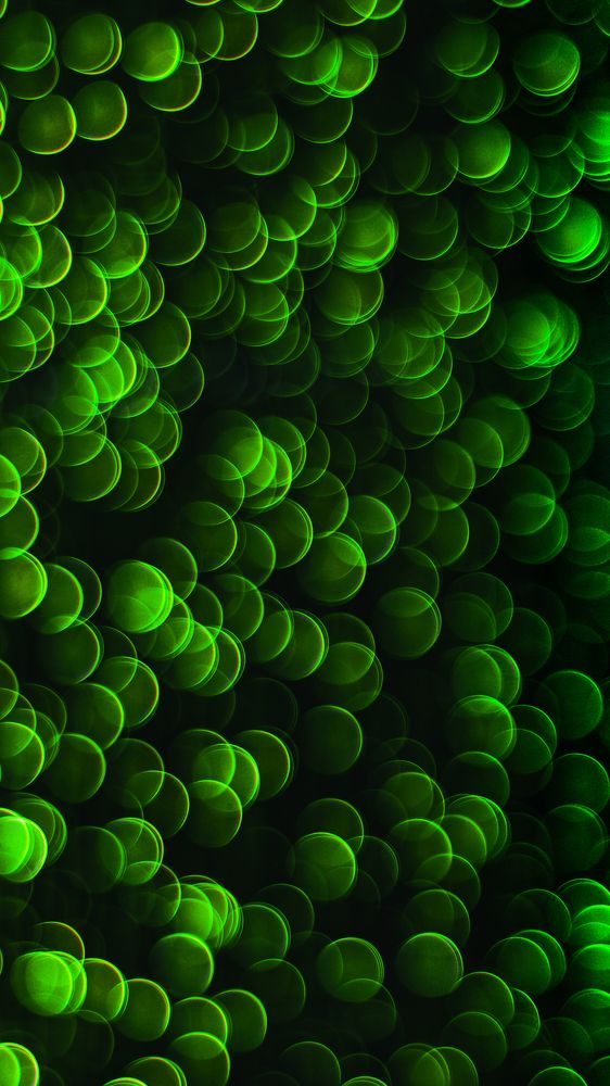 Photograph by Farshad Yazdankhah