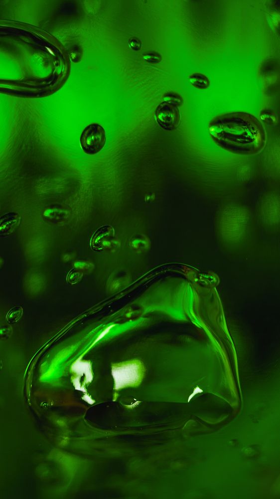 Photograph by Farshad Yazdankhah