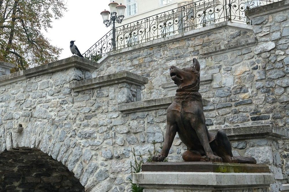 Photograph by jelena konickaja