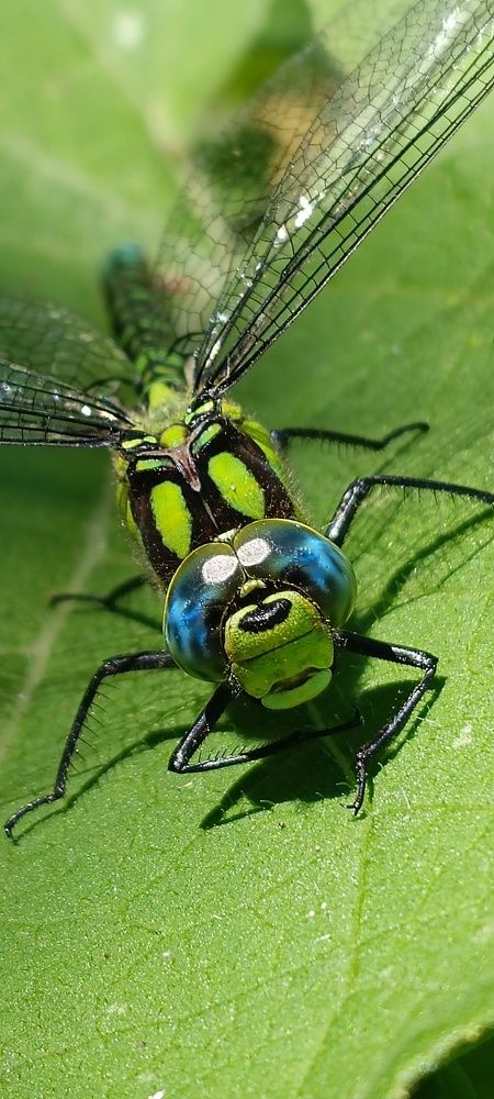 Photograph by Nаtaliia Zolotova