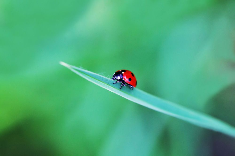 Photograph by Вербицкий Петр