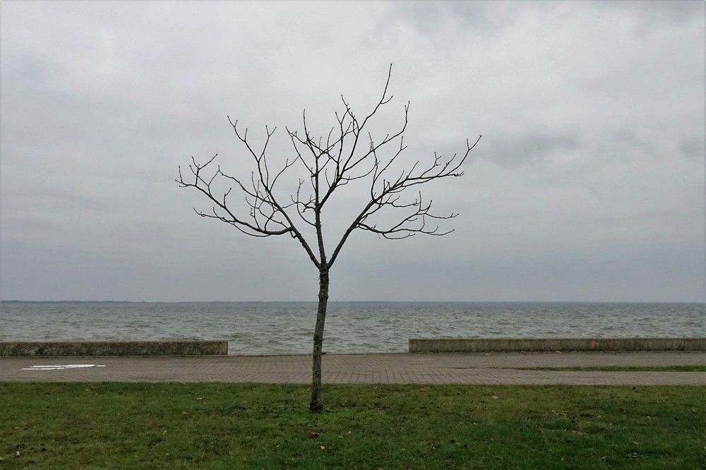 Photograph by jelena konickaja