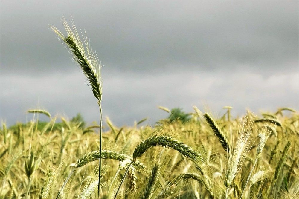 Photograph by jelena konickaja