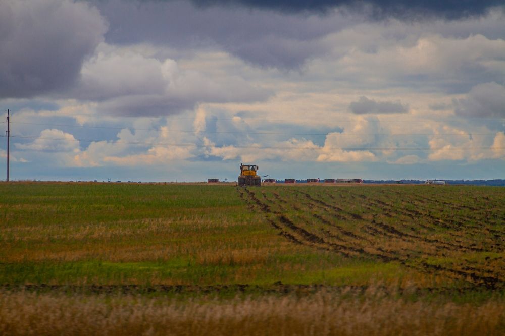 Фотография автора Иван Карпов