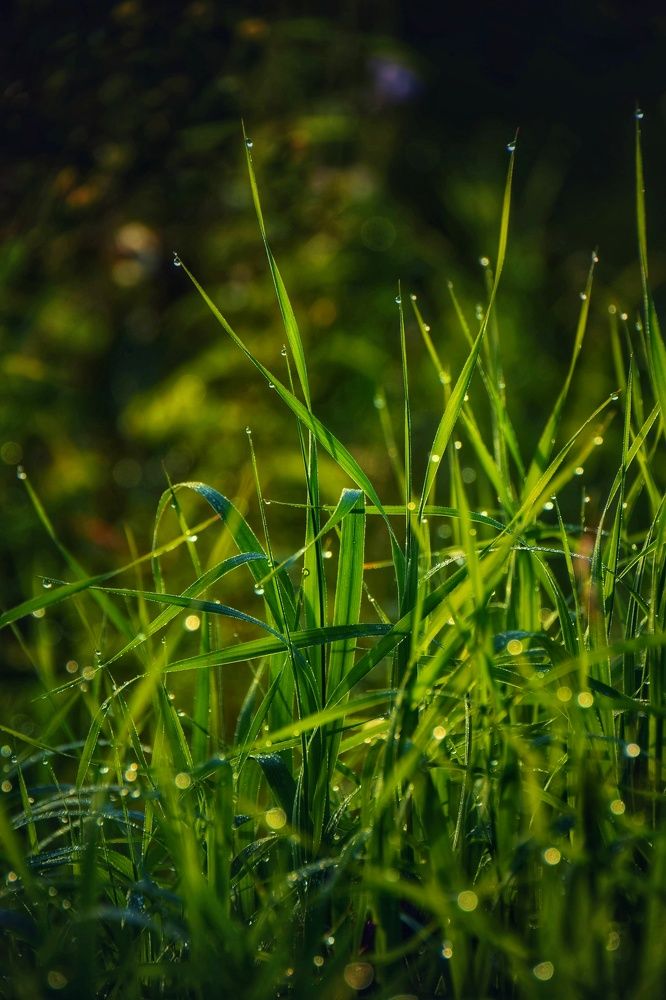 Photograph by Митюшкова Алёна