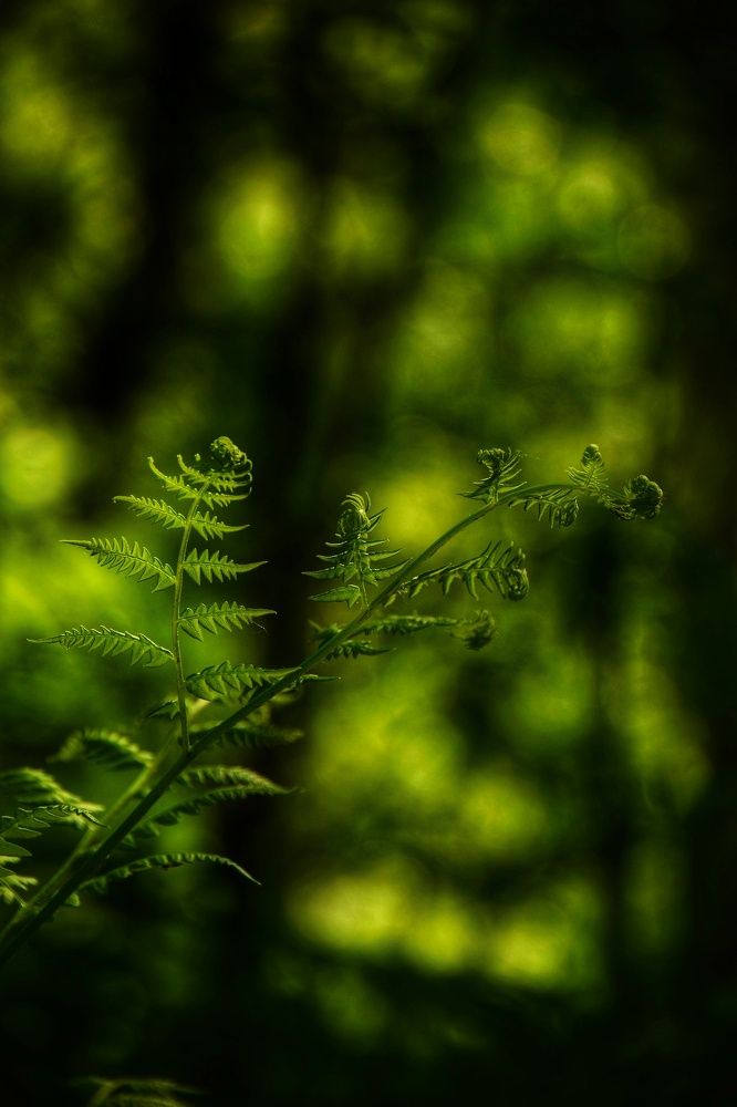 Photograph by Митюшкова Алёна