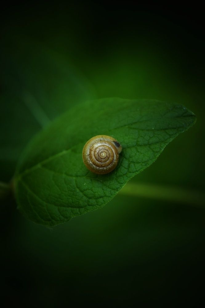 Photograph by Митюшкова Алёна