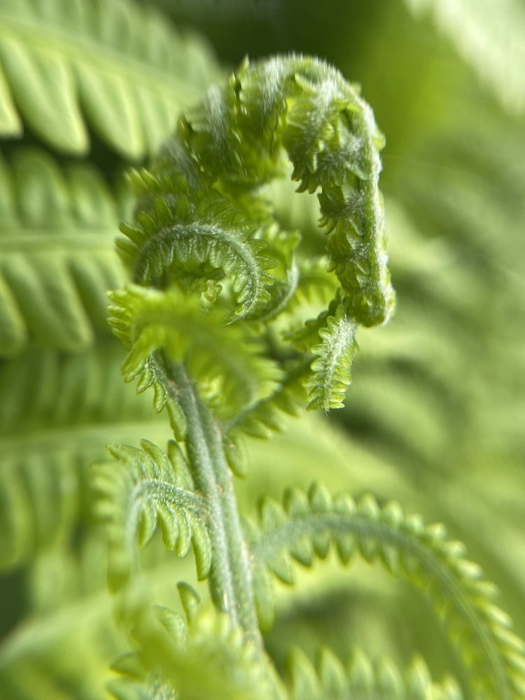 Photograph by Ольга Осинина