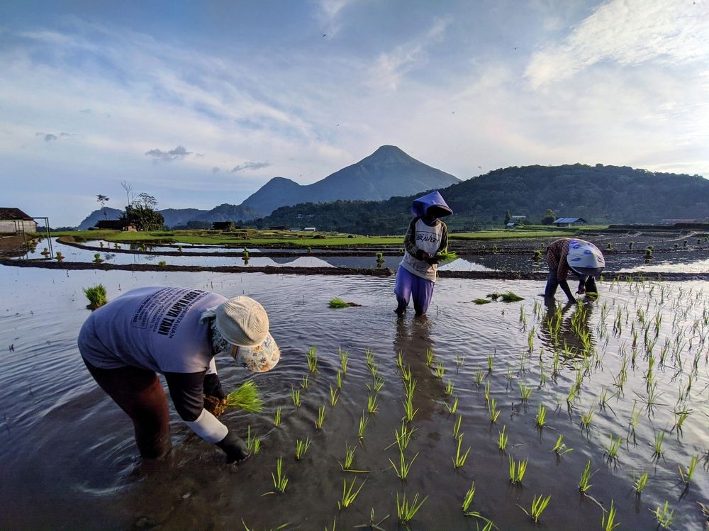 Photograph by Dodyk K