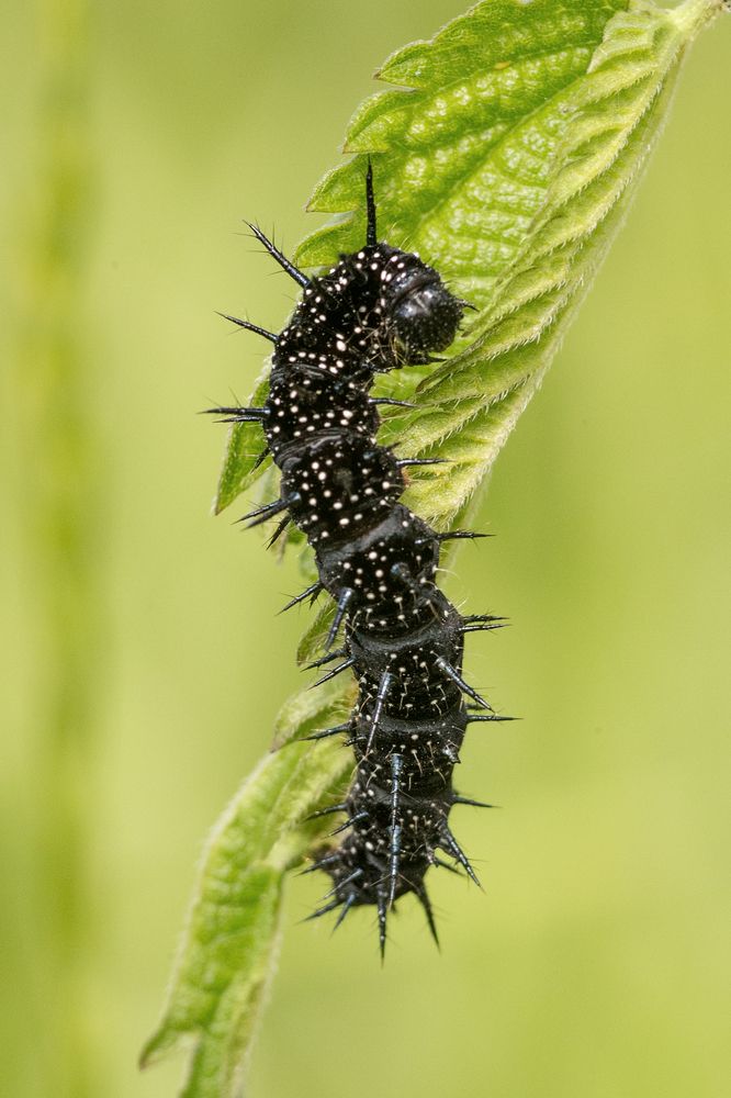 Photograph by Сергей Алексеев
