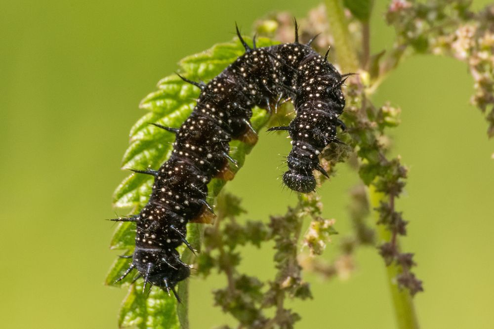 Photograph by Сергей Алексеев