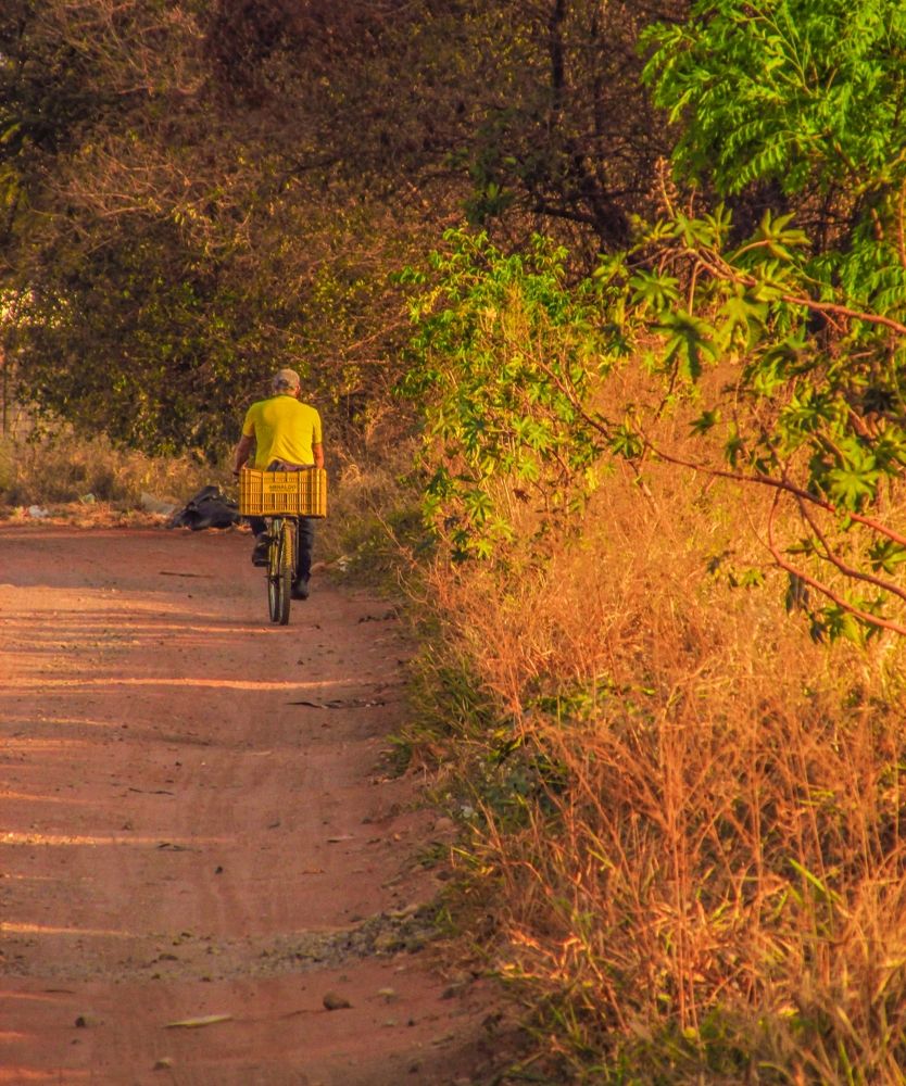 Photograph by Régis Santos